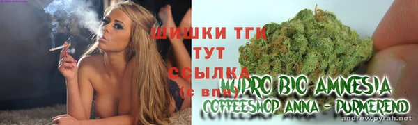 гашик Бугульма